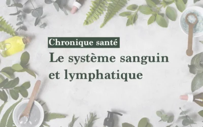 Le système sanguin et lymphatique