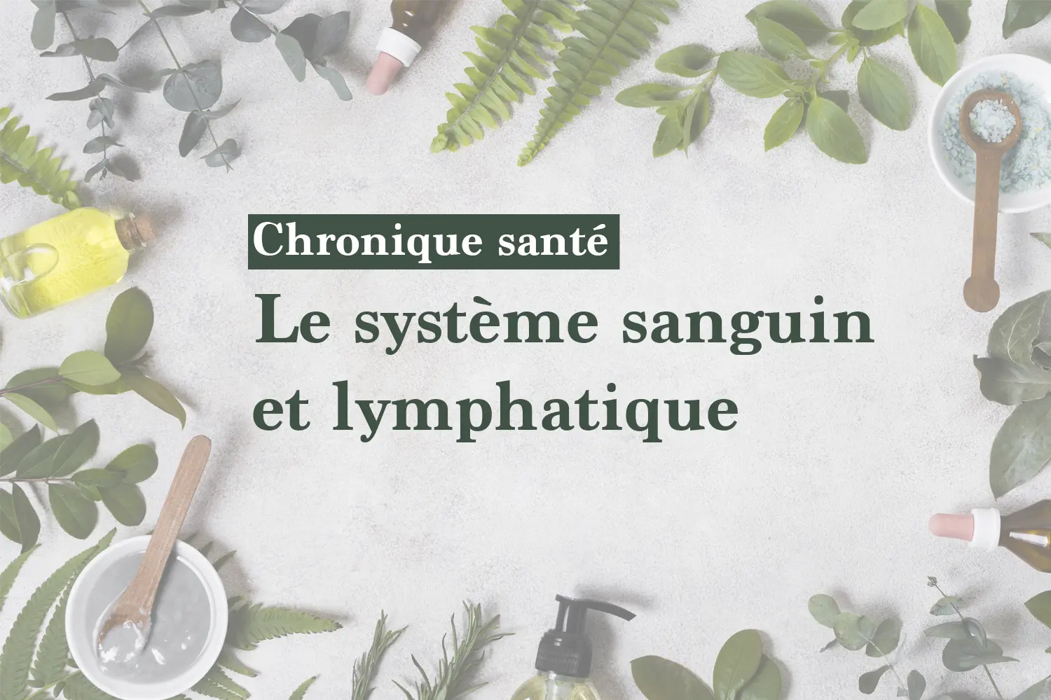 Le système sanguin et lymphatique