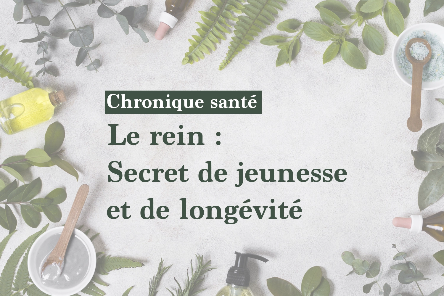 le rein secret de jeunesse et de longévité