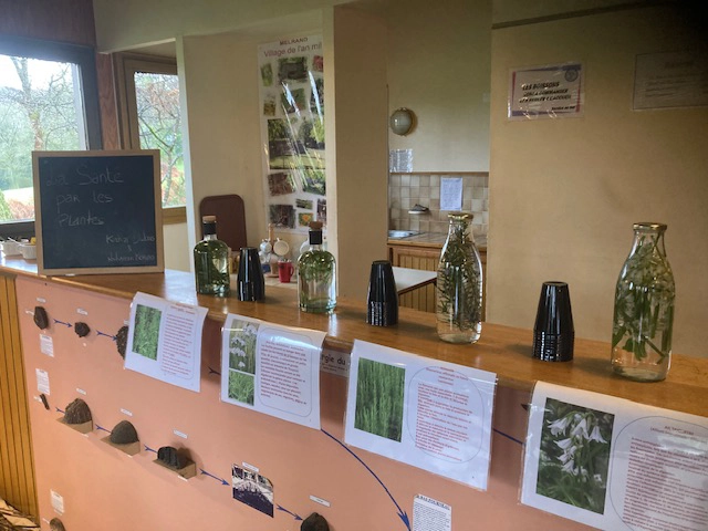 cycle des plantes atelier la santé par les plantes Kertamalou Médecine traditionnelle chinoise
